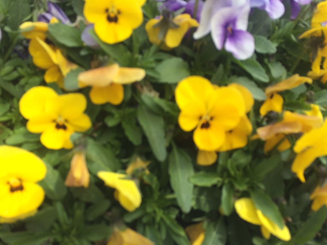 2016050401354935e.jpeg