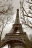 フランス (16)