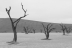 namibia (4)
