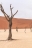 namibia (6)