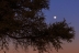 namibia (3)