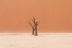 namibia (8)