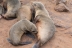 namibia (12)