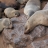 namibia (15)