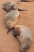 namibia (13)