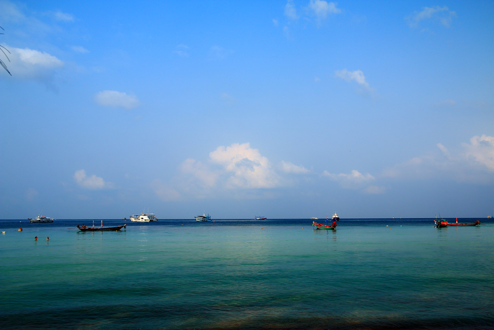 IMG_3457_1.jpg