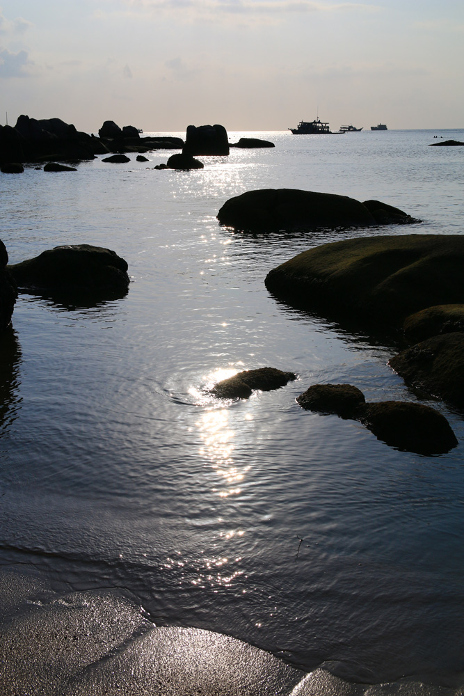 IMG_3639.jpg