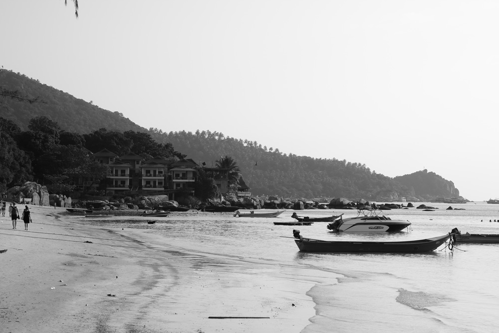 IMG_3643_1.jpg