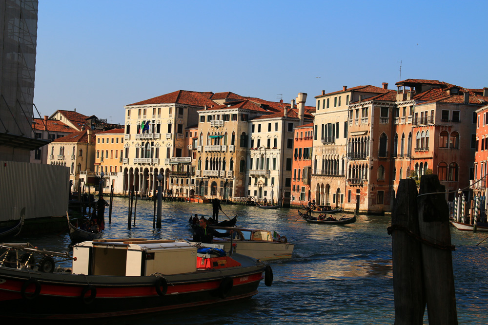 IMG_4213.jpg