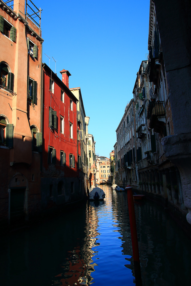 IMG_4219_1.jpg
