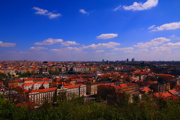 IMG_5489_1.jpg