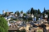 IMG_6627_1.jpg