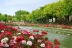 IMG_6895_1.jpg